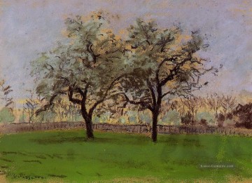  Baum Kunst - Äpfel Bäume bei Pontoise Camille Pissarro
